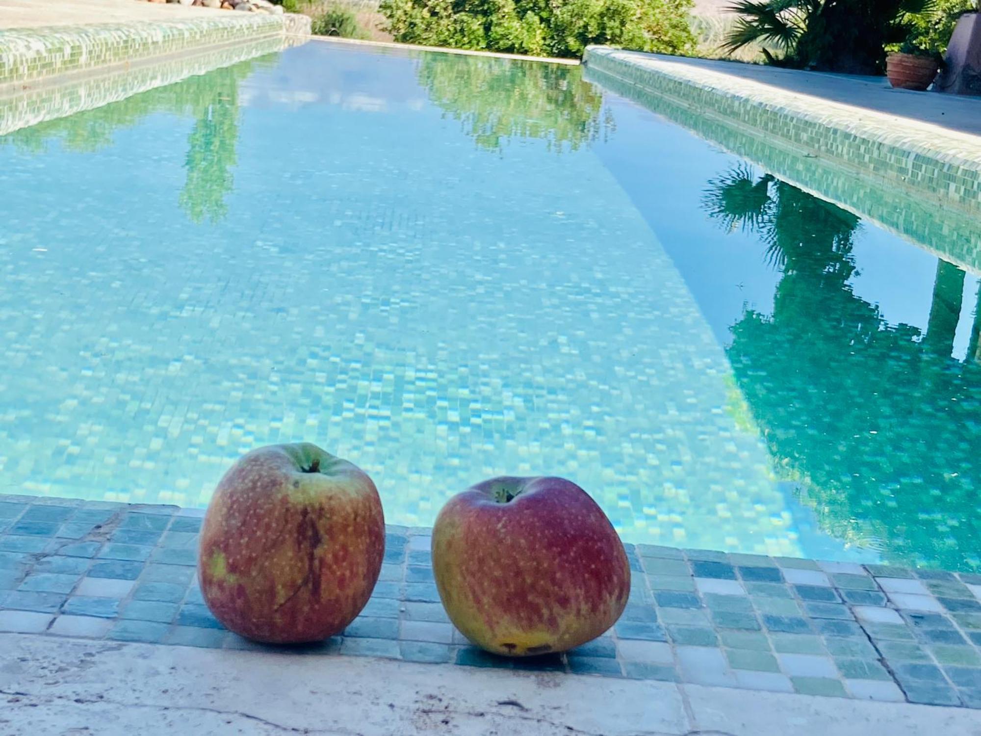 Finca Tierra Calma Casa 1 Барреаль Экстерьер фото