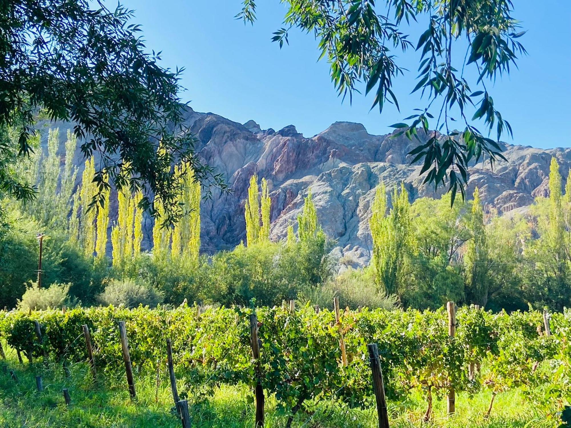 Finca Tierra Calma Casa 1 Барреаль Экстерьер фото